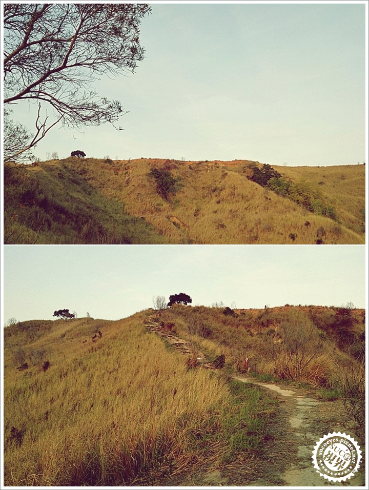 22拷貝.jpg 22拷貝.jpg