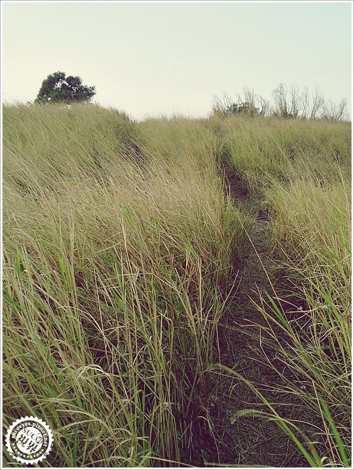 27拷貝.jpg 27拷貝.jpg