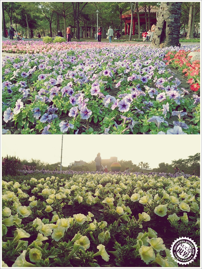 5拷貝.jpg 5拷貝.jpg