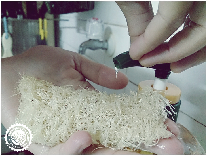 DSC_0572拷貝.jpg DSC_0572拷貝.jpg