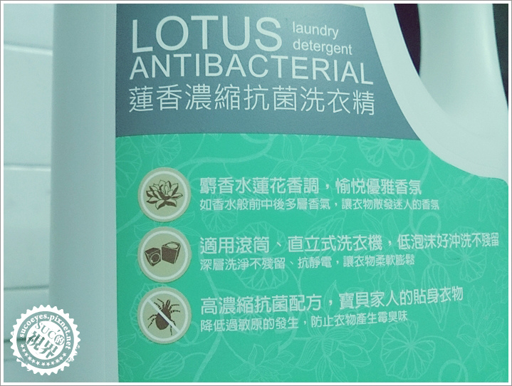 蓮香 (2)拷貝.jpg 蓮香 (2)拷貝.jpg