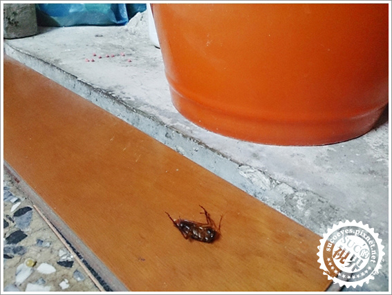 14拷貝.jpg 14拷貝.jpg