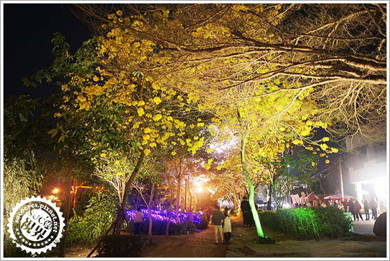 2015月津港燈節 57.jpg 2015月津港燈節 57.jpg