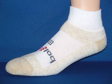 All Rounder_Quarter All Rounder_Quarter