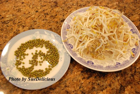 绿豆芽 Bean Sprouts