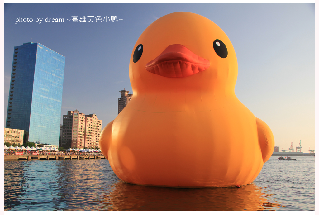 24 24