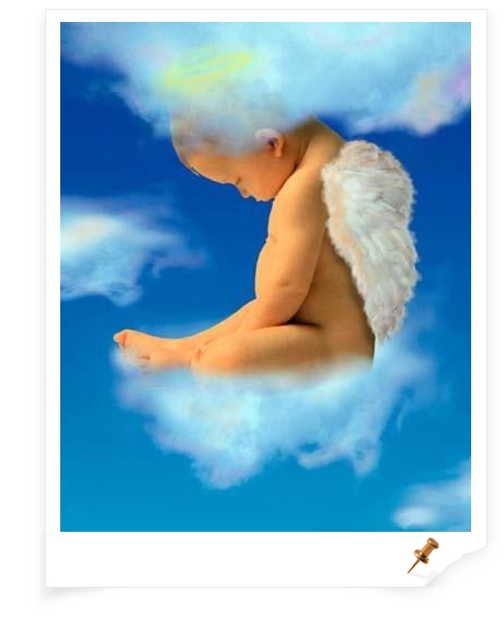 angel.jpg angel.jpg