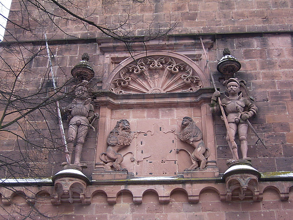 204.jpg 204.jpg
