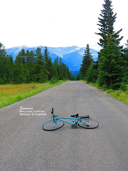 Maligne Canyon回程的公路，好騎多了。