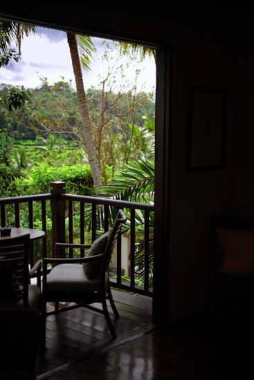 gallery_ubud8p.jpg