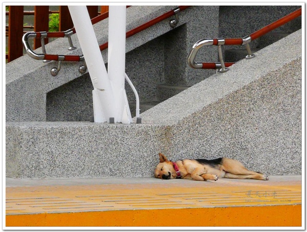 P1060451 (Large).jpg