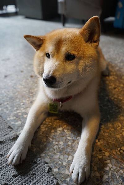 Blog Pic - Antik 2 Blog Pic - Antik 2