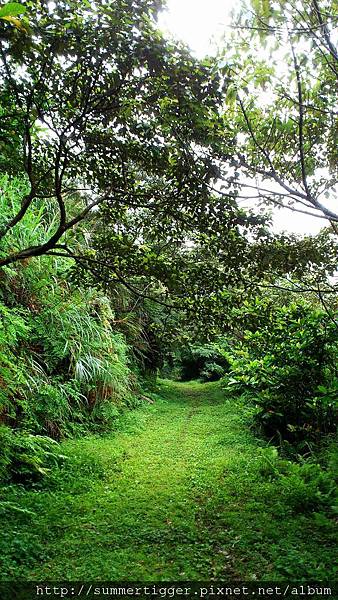 C360_2012-04-08-15-23-27