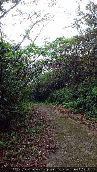 C360_2012-04-08-15-27-47