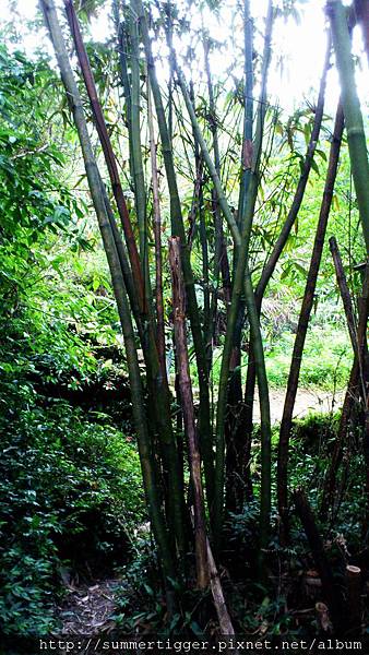 C360_2012-04-08-16-15-16