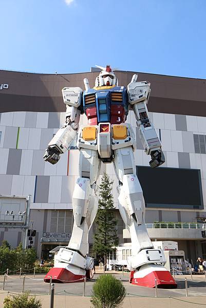 IMG_5260.jpg IMG_5260.jpg