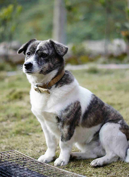 _DSC4475.jpg _DSC4475.jpg