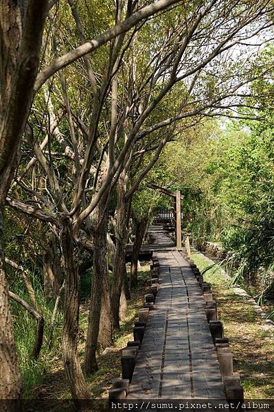 羅東林場 羅東林場