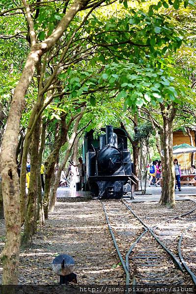 羅東林場 羅東林場