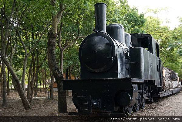 羅東林場 羅東林場