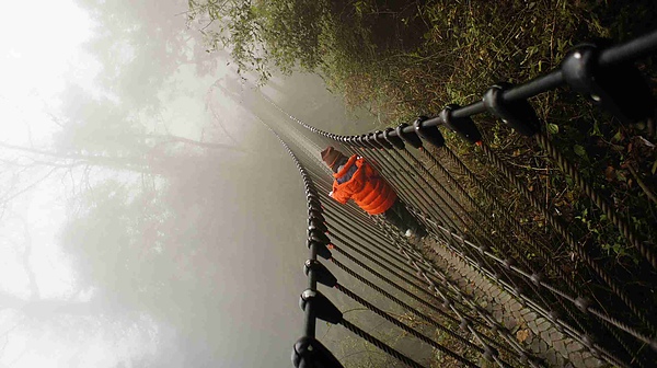 _DSC5886.jpg _DSC5886.jpg