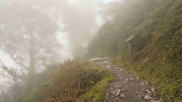 _DSC5906.jpg _DSC5906.jpg