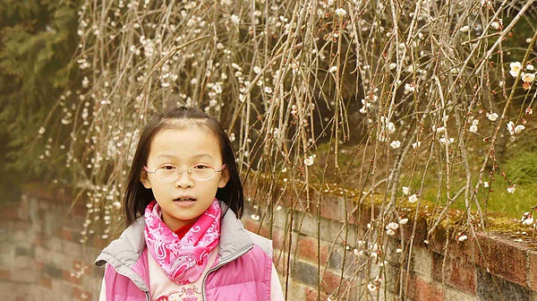 _DSC6041.jpg _DSC6041.jpg