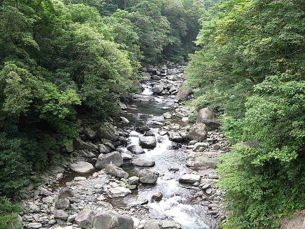 IMG_3352.jpg IMG_3352.jpg