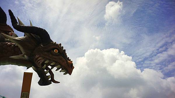 _DSC4884.jpg _DSC4884.jpg