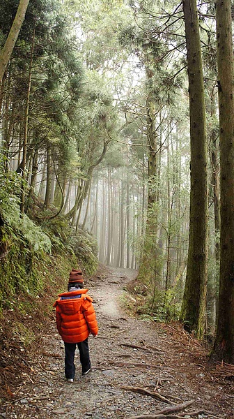 _DSC5595.jpg _DSC5595.jpg