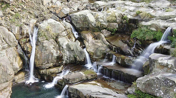 _DSC4137.jpg _DSC4137.jpg