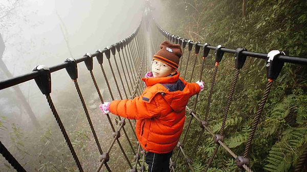 _DSC5878.jpg _DSC5878.jpg