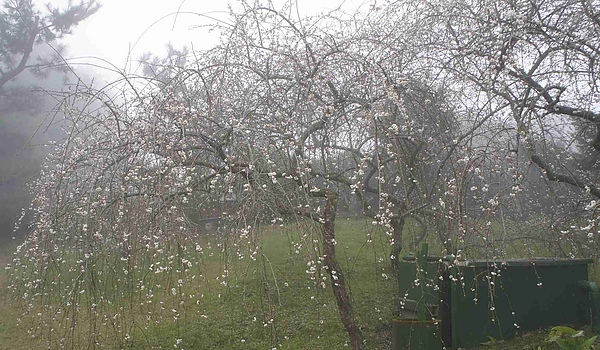 _DSC6008.jpg _DSC6008.jpg