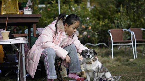 _DSC4462.jpg _DSC4462.jpg