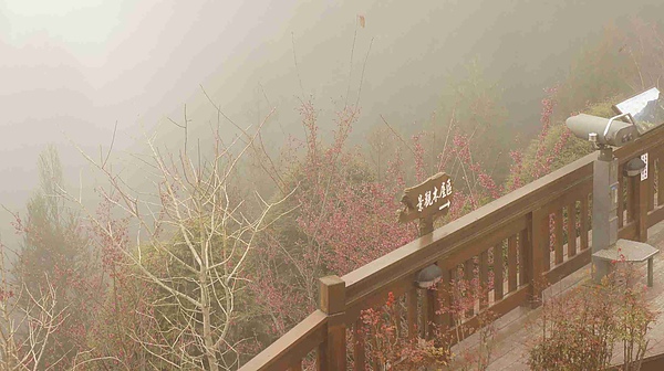 _DSC6097.jpg _DSC6097.jpg