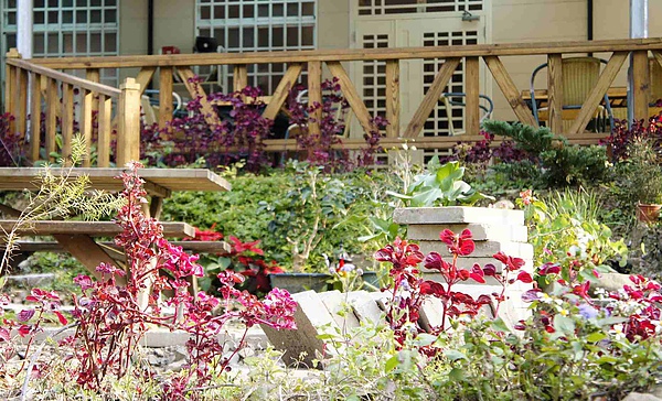 _DSC4568.jpg _DSC4568.jpg