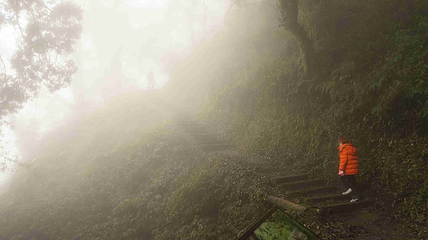 _DSC5920.jpg _DSC5920.jpg