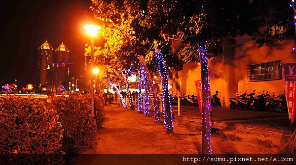 _DSC7991.jpg _DSC7991.jpg