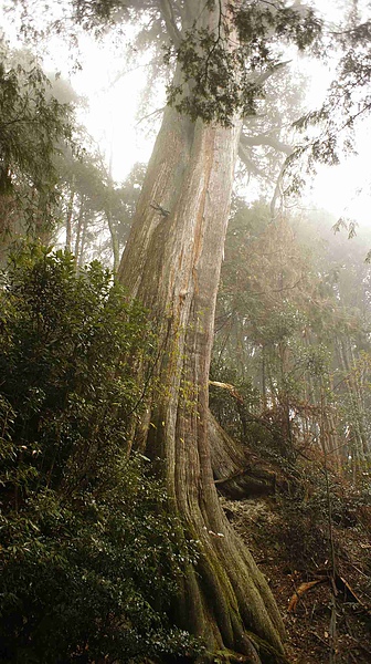 _DSC5689.jpg _DSC5689.jpg