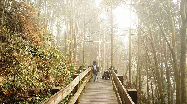 _DSC5691.jpg _DSC5691.jpg