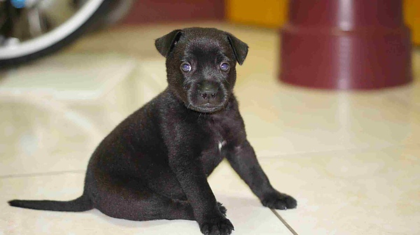 _DSC4885.jpg _DSC4885.jpg