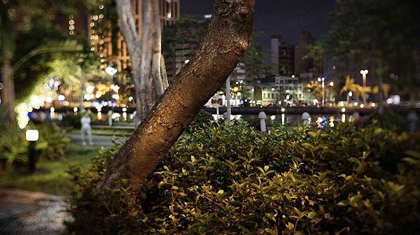 _DSC4341.jpg _DSC4341.jpg