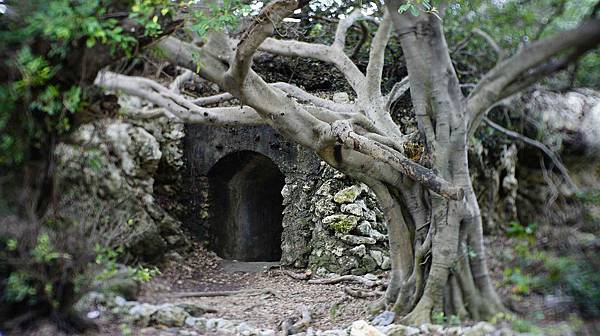 _DSC4055.jpg _DSC4055.jpg