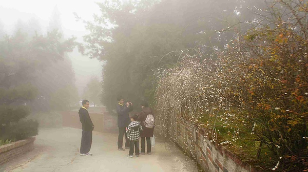 _DSC6106.jpg _DSC6106.jpg