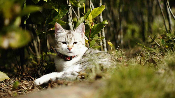 _DSC4708.jpg _DSC4708.jpg