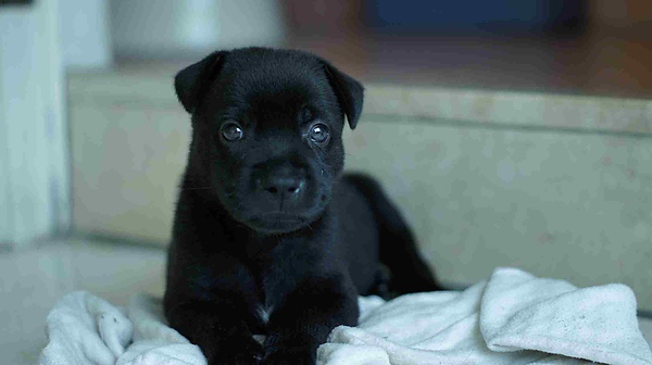 _DSC4977.jpg _DSC4977.jpg