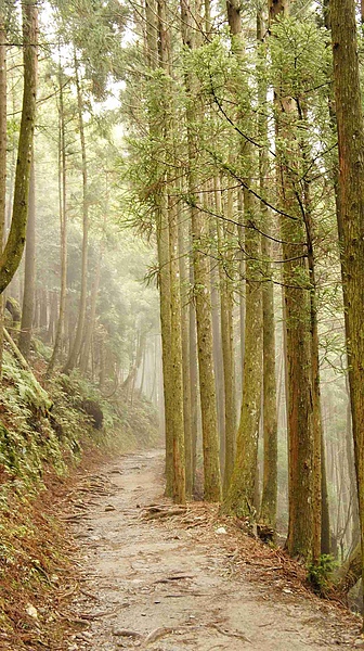 _DSC5589.jpg _DSC5589.jpg