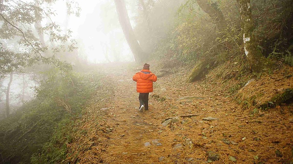 _DSC5872.jpg _DSC5872.jpg