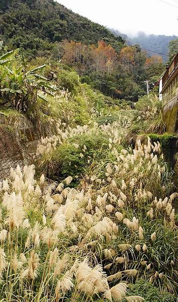 _DSC6124.jpg _DSC6124.jpg