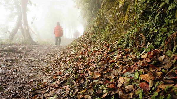 _DSC5861.jpg _DSC5861.jpg